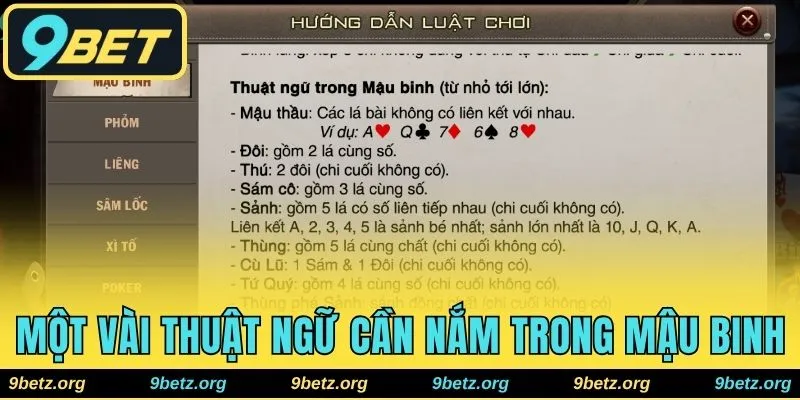 Một số thuật ngữ cần nắm